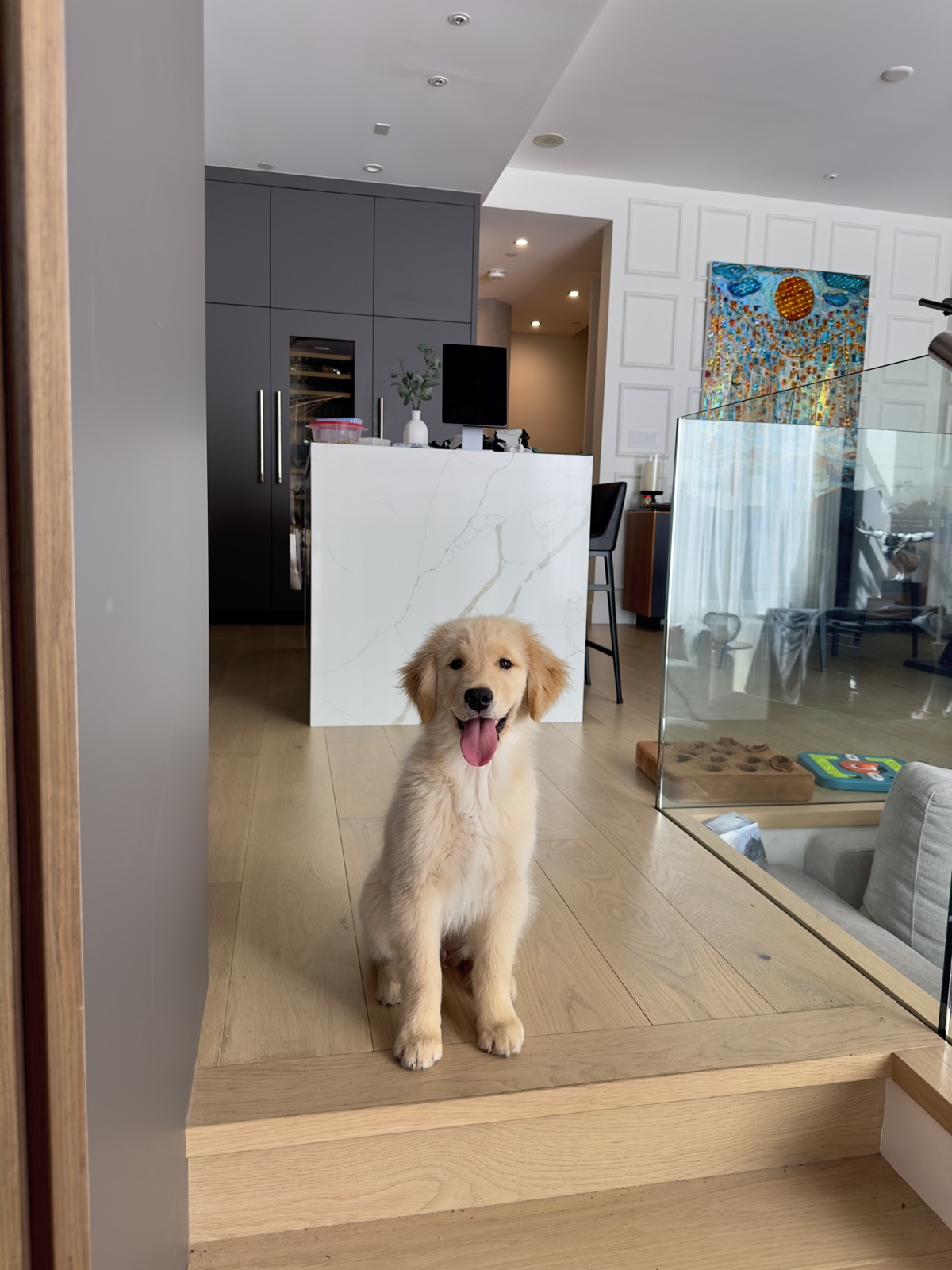 my friends golden