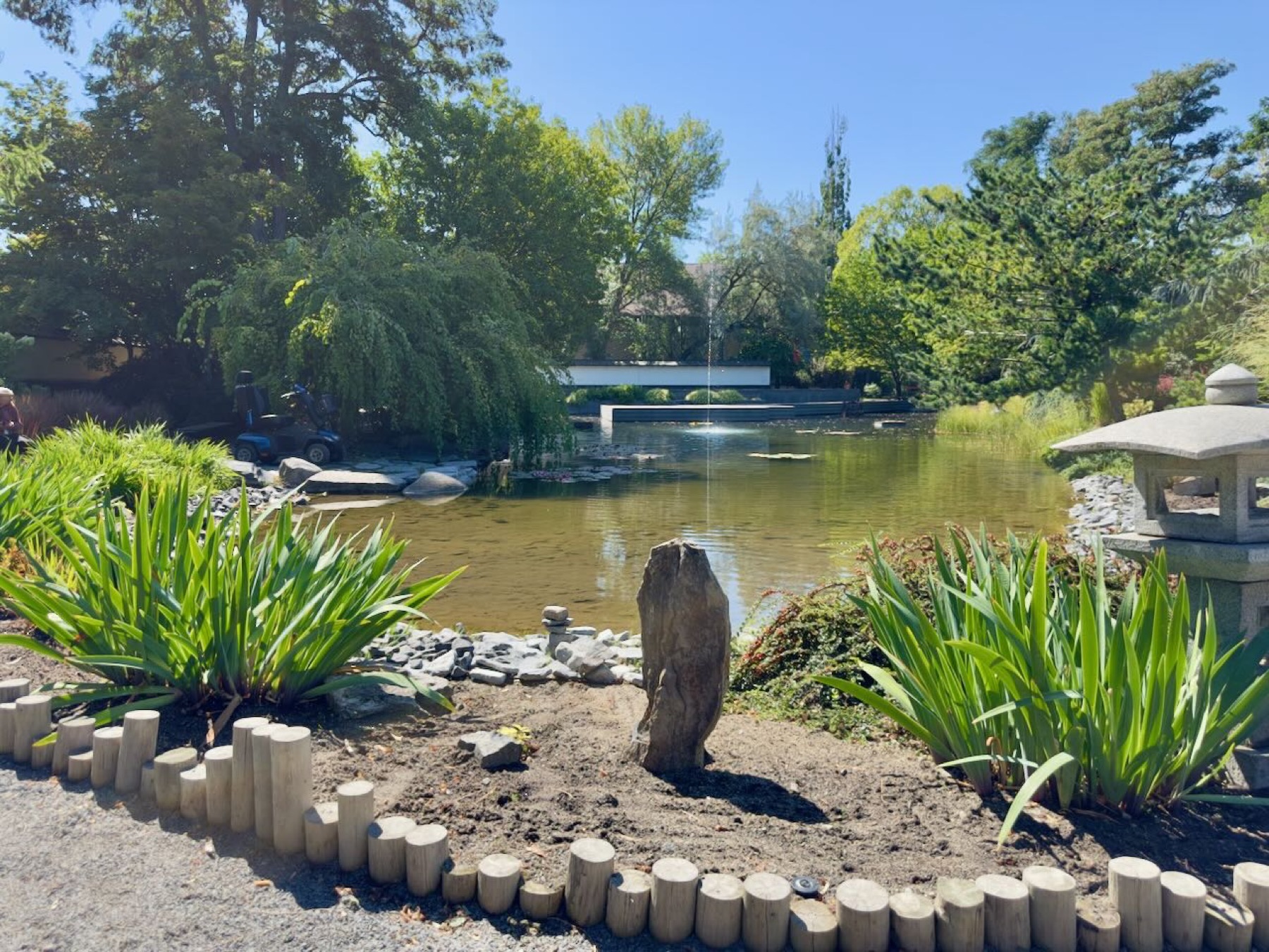 A Japanese garden pond with a stone lantern and a small fountain