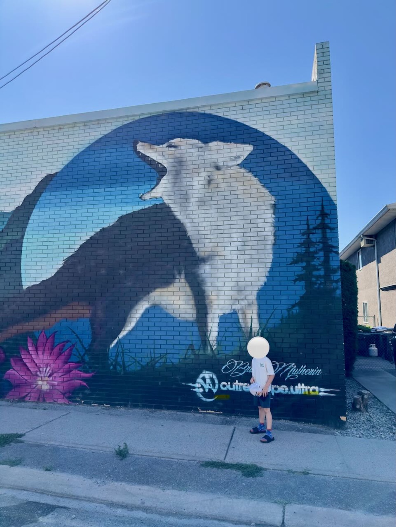 A kid standing in front of a wolf mural on a brick wall