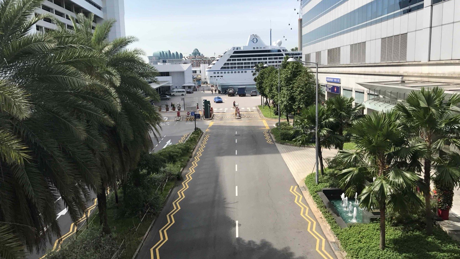 The road down to the Singapore Cruise Centre, palms on both sides
