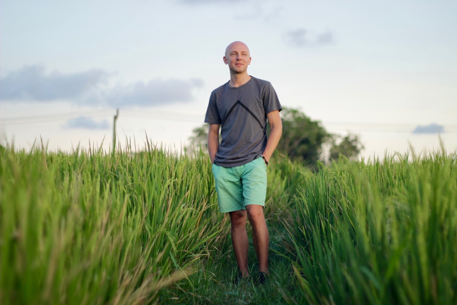 kenny grant bali grass padddy fields